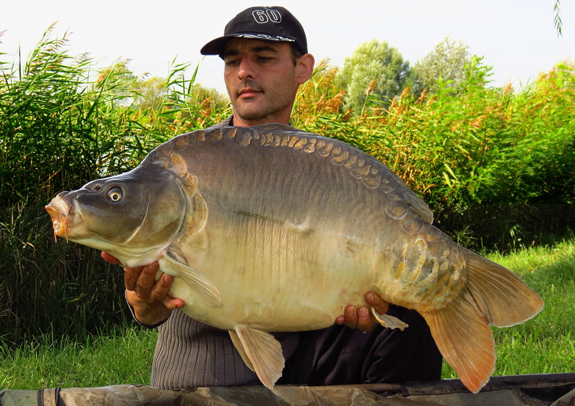 Palici Sep.2014 - img6175-019-oglinda-1671-kg-la-1240.JPG